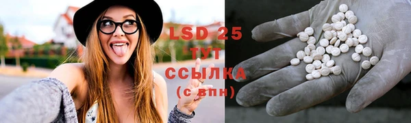 индика Краснотурьинск