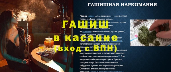 индика Краснотурьинск