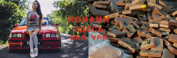 индика Краснотурьинск