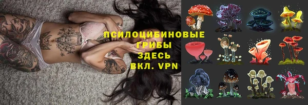 винт Краснослободск