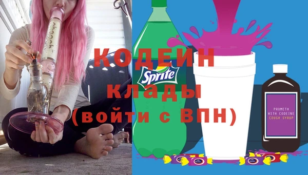 индика Краснотурьинск